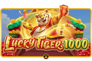5 bet